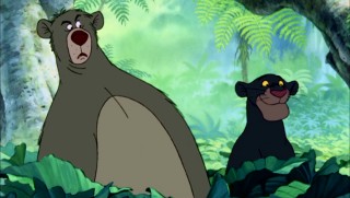 Baloo and Bagheera